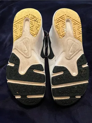 Nike Legend Essential 2 thumbnail 5