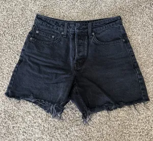Aritzia Shorts  thumbnail 1