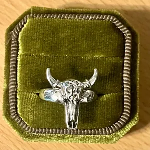 Bull Skull Ring Silver Longhorn Titanium Steel Silver Ring Size 6 thumbnail 1