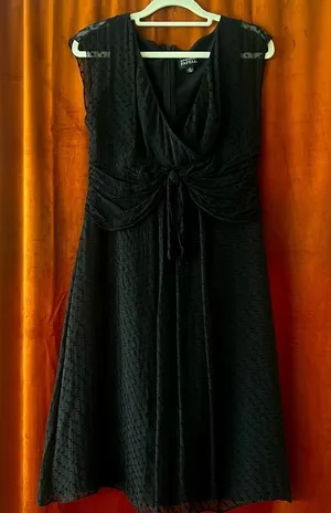 Adrianna Papell Black Silk Textured Fit & Flare Tie Front Dress Size 6 thumbnail 1