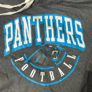 NEW Fanatics Carolina‎ Panthers Hoodie Gray Pullover NFL Football Size S thumbnail 4