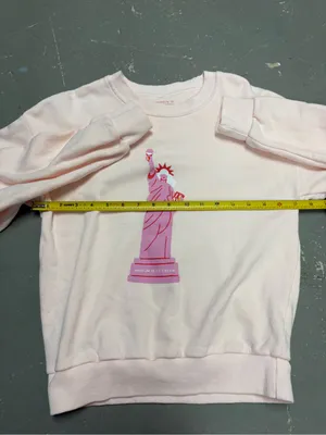 Museum of Ice Cream Statue of Liberty Pink Crewneck Sweatshirt Womens Small thumbnail 6