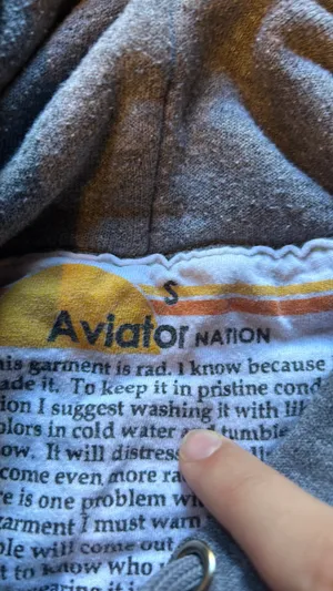 Aviator Nation Grey Hoodie thumbnail 3
