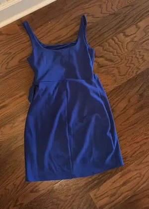 Express Dress thumbnail 1