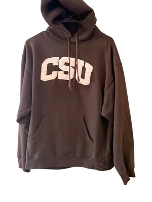 Jansport Vintage Y2k 00's 90s CSU Hoodie Brown Pink Pullover Sweatshirt‎ M thumbnail 1