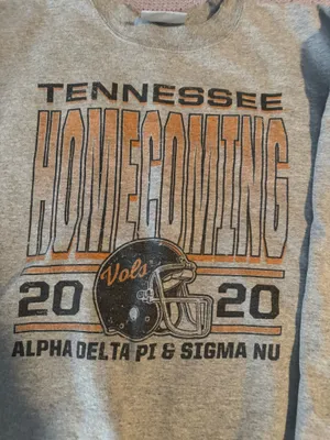 Hanes ADPI sweatshirt thumbnail 2