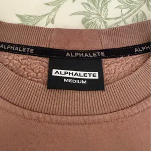 Alphalete Sweatshirt Brown thumbnail 3