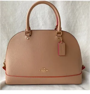 Coach Sierra Leather Domed Bag with Strap thumbnail 1