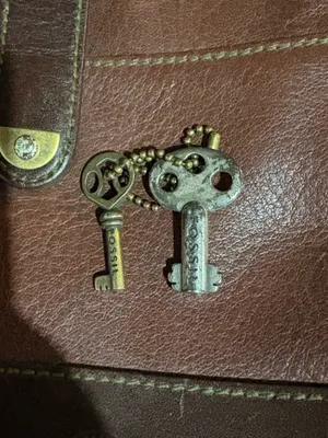 Fossil Leather Bag with Key thumbnail 6