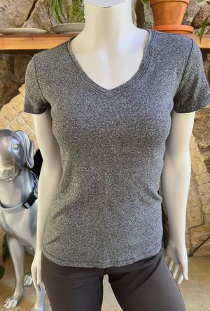 Eddie Bauer Gray Short Sleeve V-Neck Shirt Women's Size Small thumbnail 1
