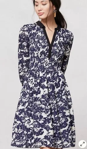 Anthropologie Edme & Esyllte Sketchbook Shirt Dress Blue White Smocked size 6 thumbnail 1