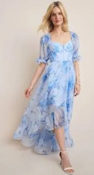 Francesca's Angie Corset‎ Floral Maxi Dress thumbnail 1