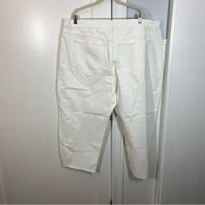 Madewell The Plus Curvy Pieced Barrel-Leg Jean in tile‎ white size 20 20W NWT thumbnail 7