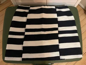 Blue And White Striped Frayed Skirt thumbnail 1
