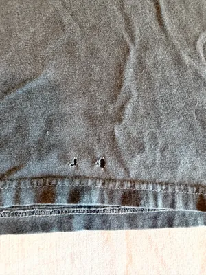 Comfort Colors Free Bird Eagle Graphic T Shirt M Faded Charcoal Distressed thumbnail 2