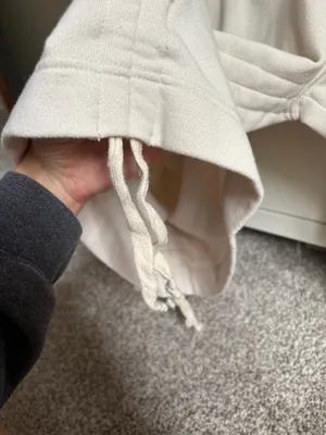 Tan Aerie Hoodie thumbnail 4