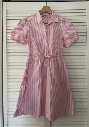 J.Crew Dress thumbnail 1