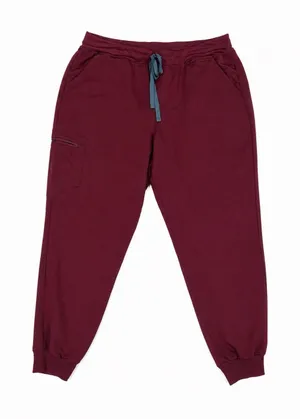 figs zamora jogger scrub pants burgundy xxl Women's thumbnail 1
