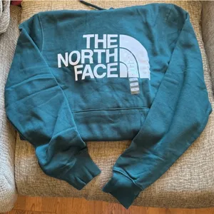 The north face hoodie thumbnail 1