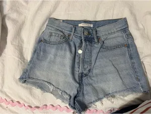 PacSun Shorts thumbnail 1