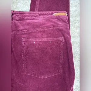 Anthropologie Pilcro and the Letterpress Serif burgundy corduroy skinny pants thumbnail 6