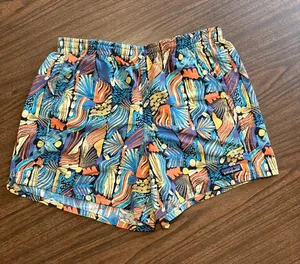 Patagonia Small Women's 5" Baggies Shorts Joy Pitch Blue thumbnail 1