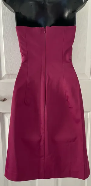 Express Magenta Strapless Cocktail Mini Dress Size 1/2 thumbnail 5