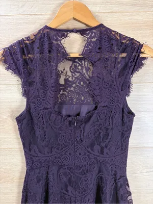 BB Dakota Dark Plum Lace Fit and Flare Mini Dress Size 0 thumbnail 2