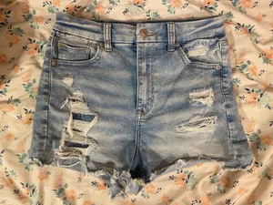 American Eagle Denim Shorts thumbnail 1