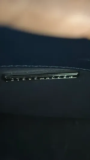 Steve Madden Crossbody Purse leather  thumbnail 4