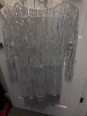 Sparkly Silver Fringe Dress thumbnail 2
