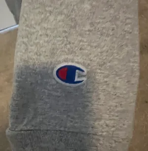 Champion South Carolina Gamecocks Long Sleeve thumbnail 2