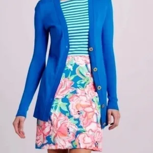 Lilly Pulitzer Lucky Charm Combo Blue Stripe Julianna Dress Medium TINY SPOT thumbnail 7