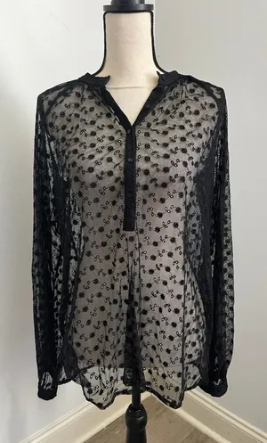 Express Black Sheer Floral Long Sleeve Blouse Large Goth Chic Romantic Whimsigoth Top thumbnail 1
