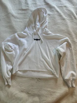 Hollister Cropped Hoodie thumbnail 1