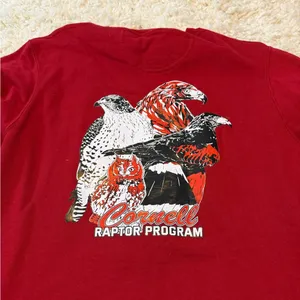 Cornell Red Raptor Sweatshirt Size M thumbnail 4