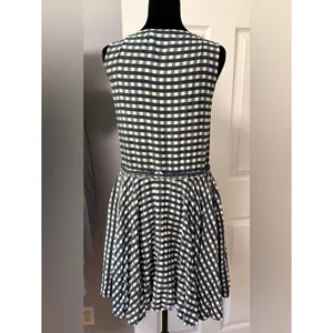 Vineyard‎ Vines Gingham Dress Blue White Sleeveless Southern Preppy Game Day XS thumbnail 3