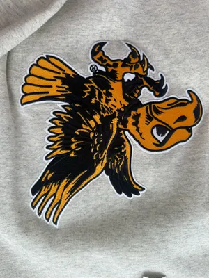 Iowa Hawkeyes Crewneck Champion thumbnail 2