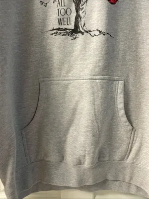 Taylor Swift All Too Well Pullover Hoodie Size 3XL Gray. Red Album. thumbnail 4