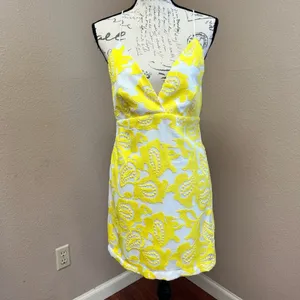 Maeve by Anthropologie NWT Yellow Embroidered Lace Mini Dress Size 6 thumbnail 3