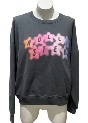 Hollister Sweatshirt Womens Size L Gray Crew Neck Pullover Logo Graphic thumbnail 1