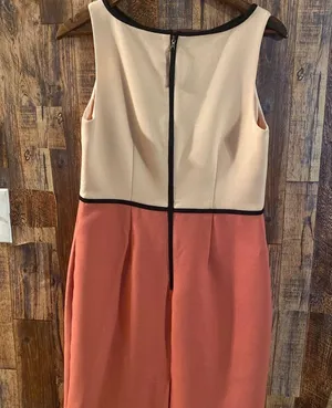 Ann Taylor Loft color block dress (Pink) size 8 thumbnail 6