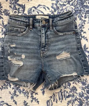 BKE Denim Shorts thumbnail 1