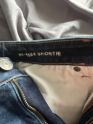 American Eagle Outfitters Shorts thumbnail 4
