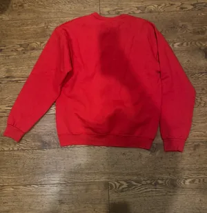 Halloween Costume - Alvin and the Chipmunk Sweatshirt thumbnail 4