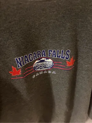 TC Black Crewneck Sweatshirt with Niagara Falls Red & Blue Graphic thumbnail 2