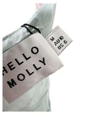 NEW Hello Molly Rosy Days Mini Dress Size 6 thumbnail 10