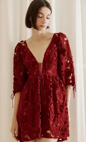 Storia Deep Red Lace V-Neck Eyelet Floral Mini Dress thumbnail 1