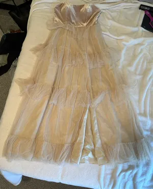 REVELRY Velvet + Tulle Dress thumbnail 3