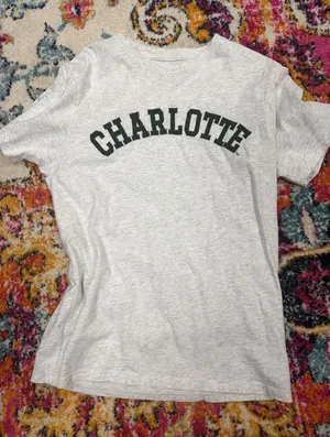 Charlotte t shirt Gray Size M thumbnail 1